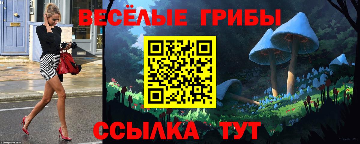 Псилоцибиновые грибы MAGIC MUSHROOMS  Вход с VPN  Шебекино  Псилоцибиновые грибы мицелий 