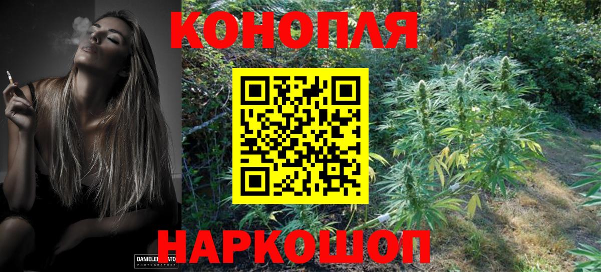 МАРИХУАНА планчик  Каннабис план  Шебекино  Вход с VPN 